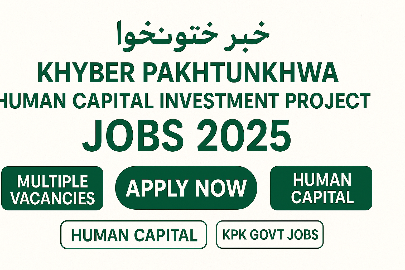 Khyber Pakhtunkhwa Human Capital Investment Project Jobs 2025
